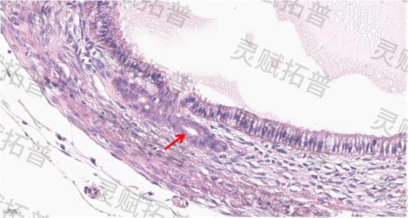 080370ee-0fef-4c1c-bb60-5aa7cb9fb4fe.png